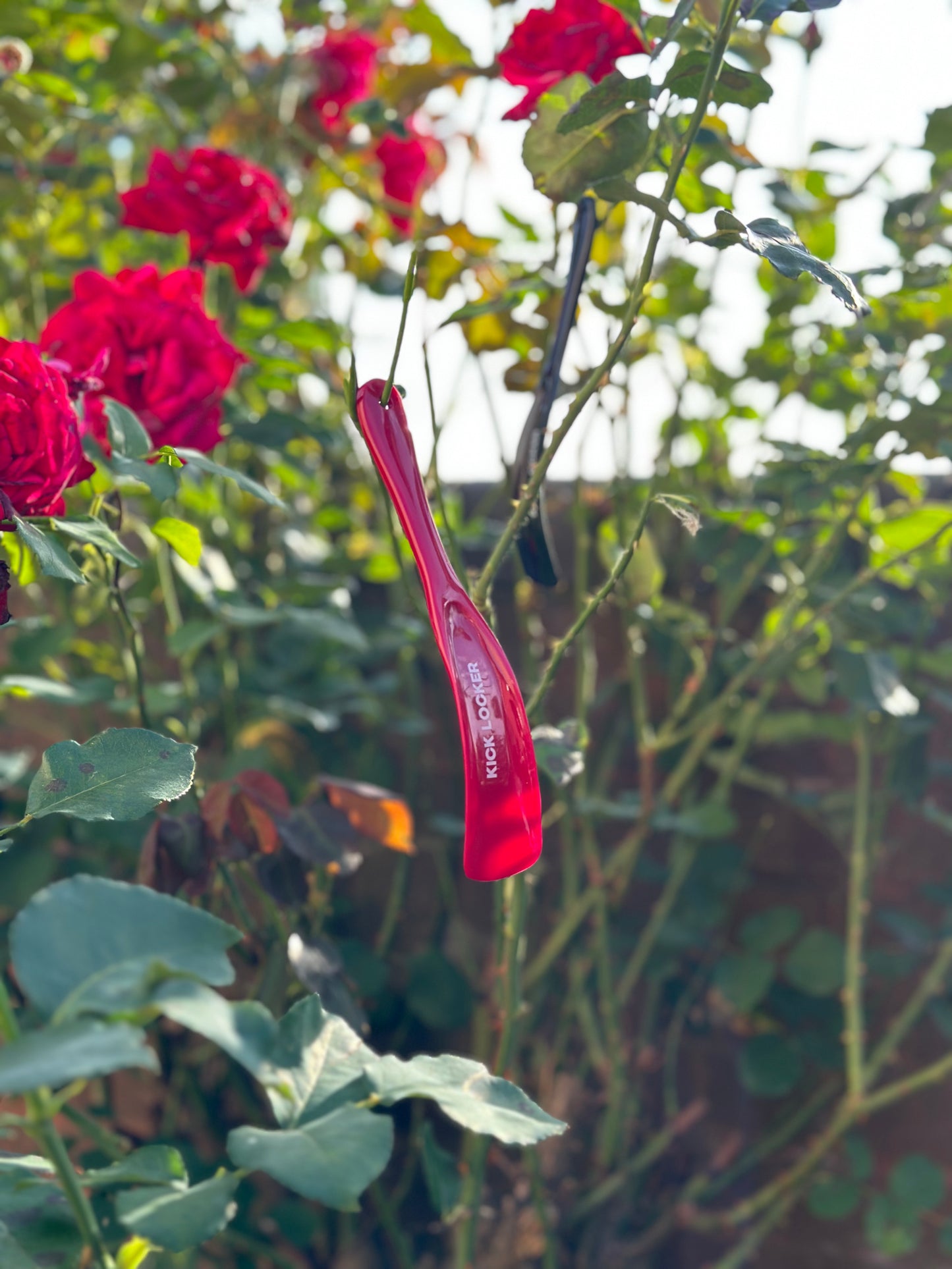 Shoe Horn 2